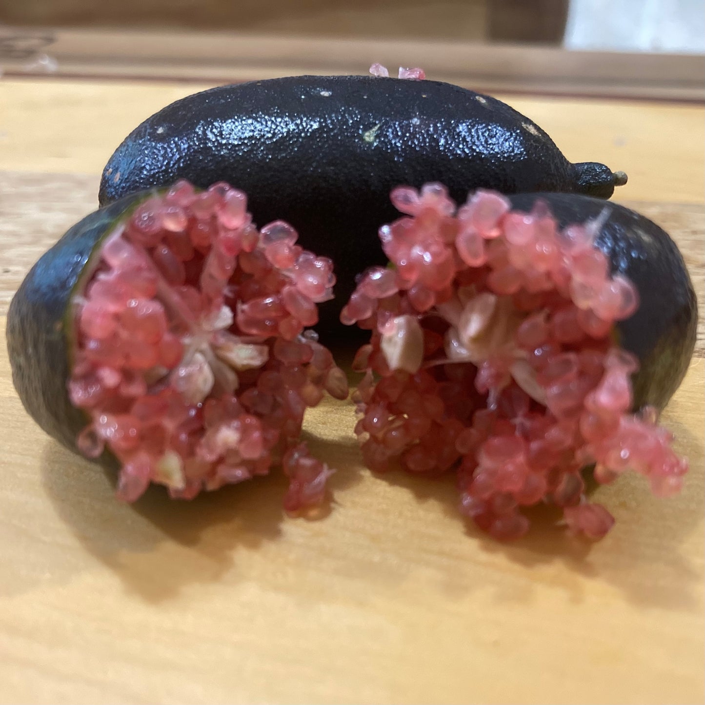 Finger Lime - "Byron Sunrise" grafted in 200mm pot (pick up only)