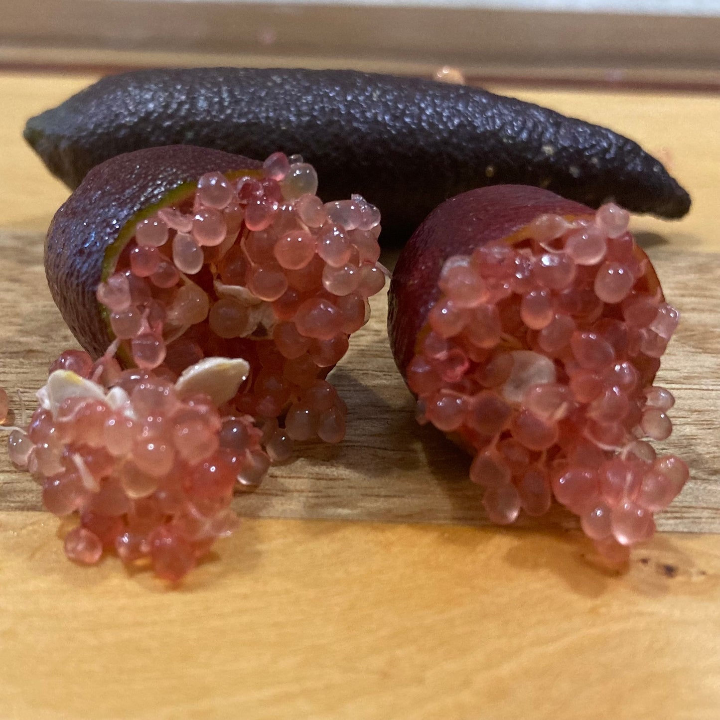 Finger Lime - "Red Champagne" grafted in 200mm pot (pick up only)