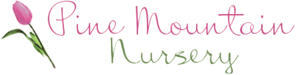 Pine Mountain Nursery ABN 92464801070